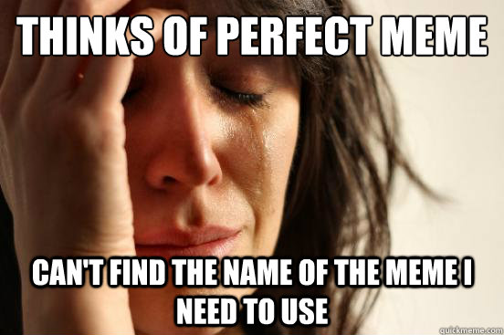 thinks of perfect meme can't find the name of the meme i need to use  First World Problems