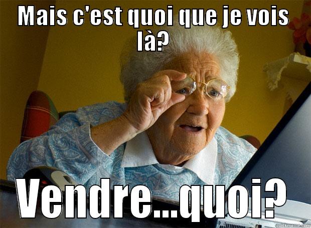 MAIS C'EST QUOI QUE JE VOIS LÀ? VENDRE...QUOI? Grandma finds the Internet