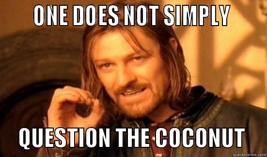      ONE DOES NOT SIMPLY           QUESTION THE COCONUT     Boromir