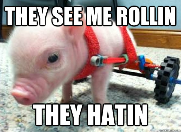THEY SEE ME ROLLIN THEY HATIN  Riding dirty pig