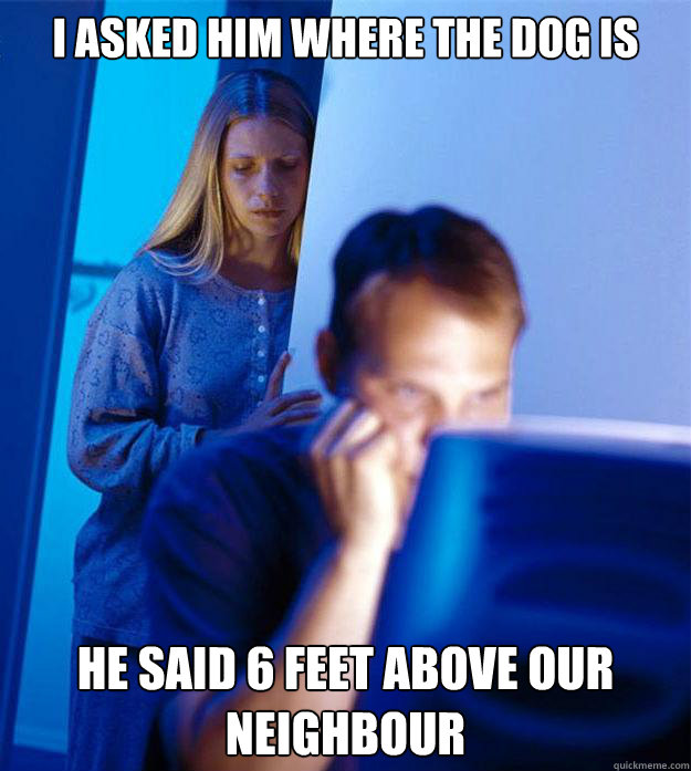 I asked him where the dog is he said 6 feet above our neighbour - I asked him where the dog is he said 6 feet above our neighbour  Redditors Wife