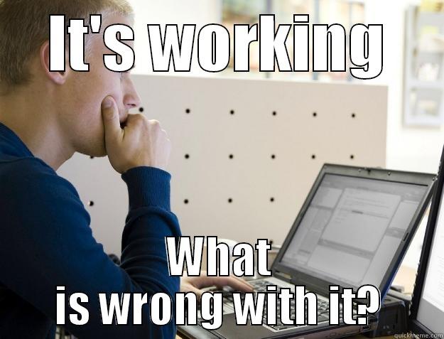 IT'S WORKING WHAT IS WRONG WITH IT? Programmer