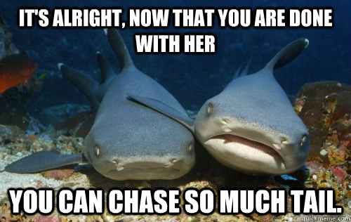 It's alright, now that you are done with her you can chase so much tail.  Compassionate Shark Friend