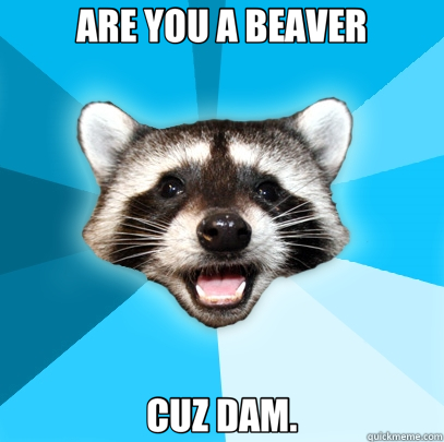 ARE YOU A BEAVER CUZ DAM.  Lame Pun Coon