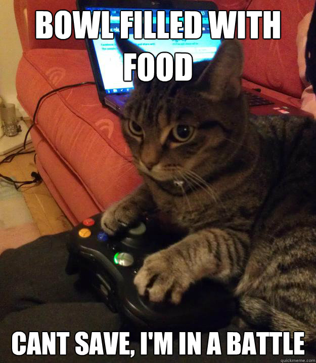 Concentration Gamer Cat memes | quickmeme