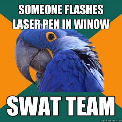 Someone flashes laser pen in winow SWAT TEAM  Paranoid Parrot