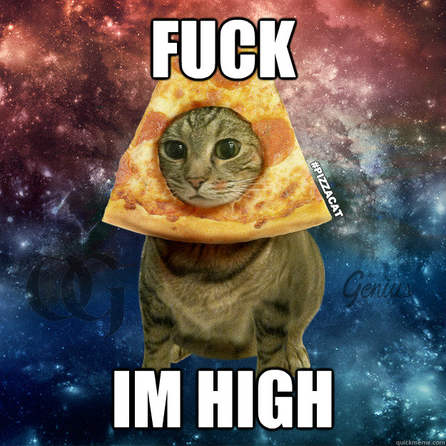 FUCK IM HIGH  PIZZACAT