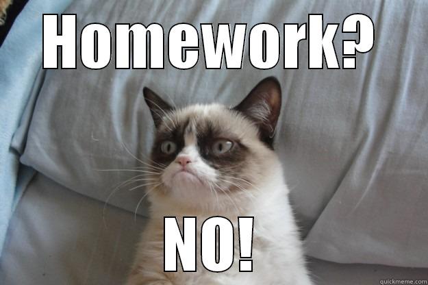 HOMEWORK? NO! Grumpy Cat