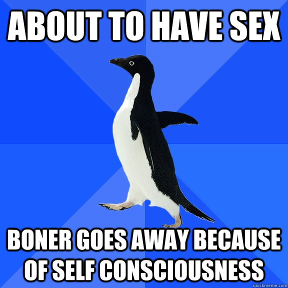 ABOUT TO HAVE SEX BONER GOES AWAY BECAUSE OF SELF CONSCIOUSNESS   Socially Awkward Penguin