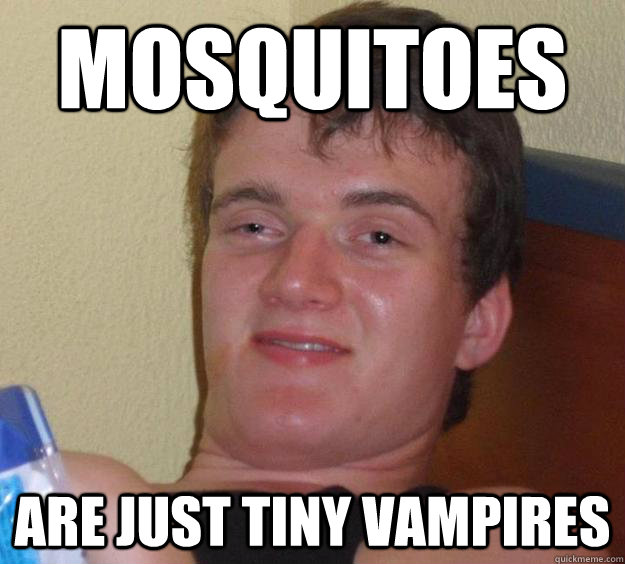 Mosquitoes are just tiny vampires  10 Guy
