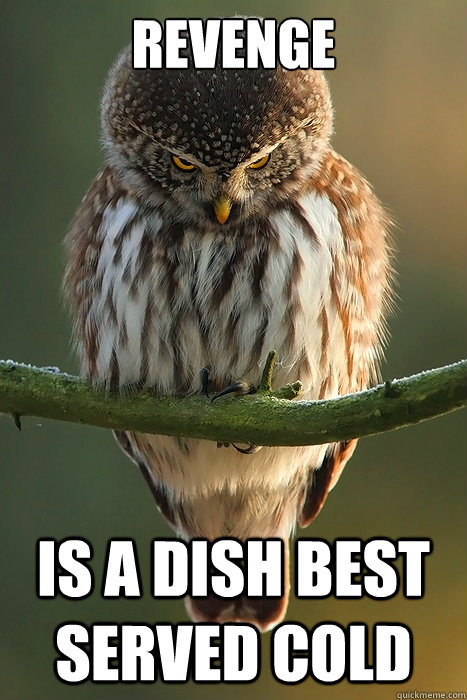 Revenge is a dish best served cold  Angry Owl