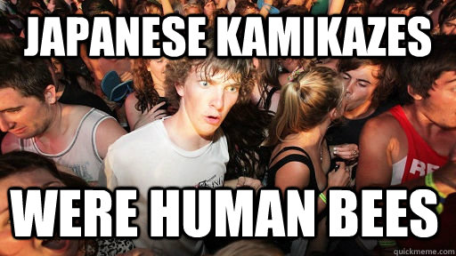 Japanese Kamikazes  were human bees   Sudden Clarity Clarence