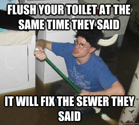 Flush your toilet at the same time they said It will fix the sewer they said  They said