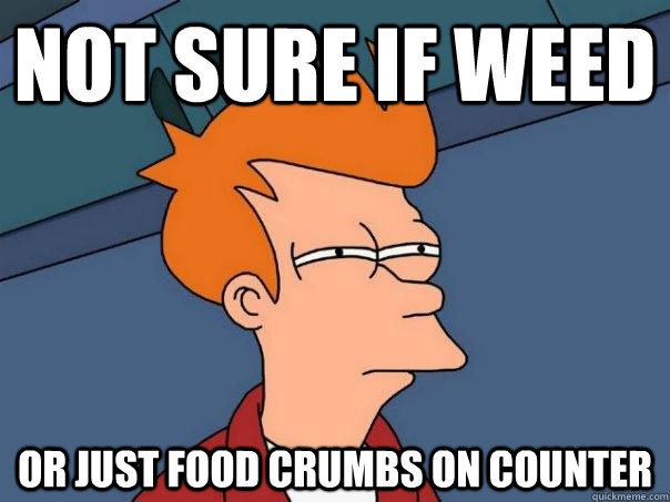 Not sure if weed Or just food crumbs on counter  Futurama Fry
