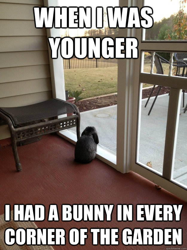 WHEN I WAS YOUNGER I HAD A BUNNY IN EVERY CORNER OF THE GARDEN  