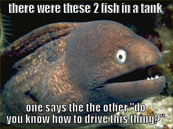 fish joke - THERE WERE THESE 2 FISH IN A TANK ONE SAYS THE THE OTHER 
