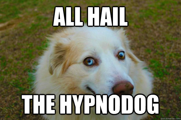 All Hail The HypnoDog  