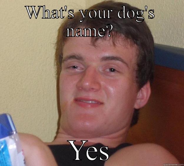 Yes! Come here!  - WHAT'S YOUR DOG'S NAME? YES 10 Guy