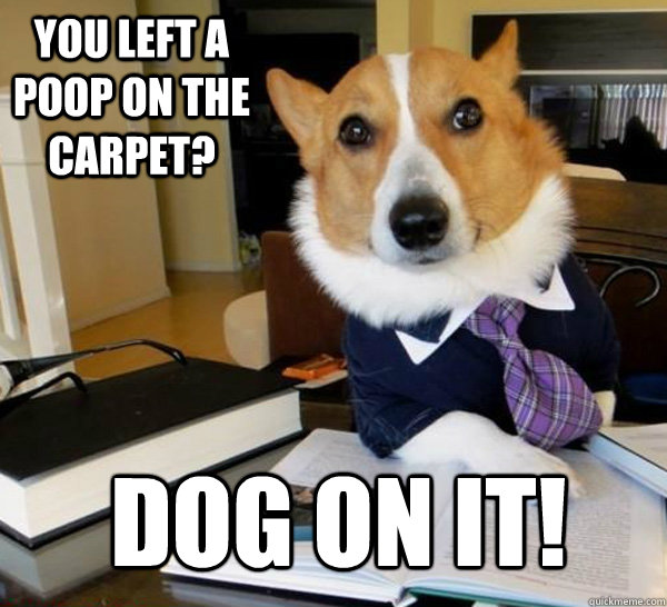 You left a poop on the carpet? Dog on it!  Lawyer Dog