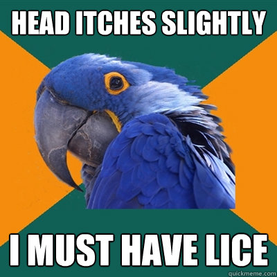 head itches slightly i must have lice  Paranoid Parrot