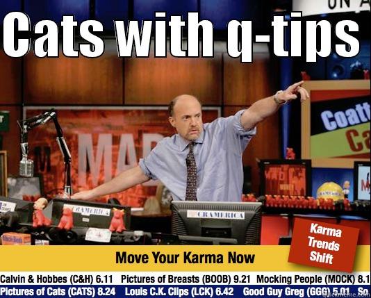 CATS WITH Q-TIPS   Mad Karma with Jim Cramer