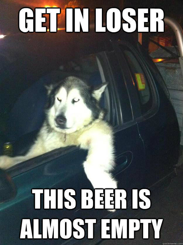 Get in loser this beer is almost empty  Mean Dog