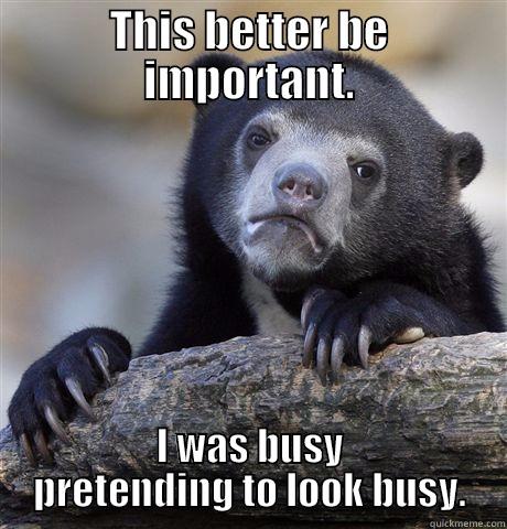 Better be important. - THIS BETTER BE IMPORTANT. I WAS BUSY PRETENDING TO LOOK BUSY. Confession Bear
