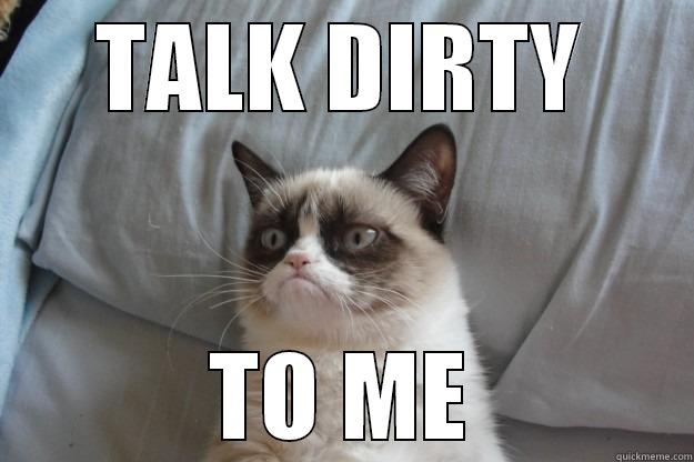 TALK DIRTY TO ME Grumpy Cat