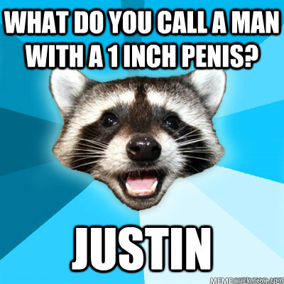 What do you call a man with a 1 inch penis? Justin  Lame Pun Coon