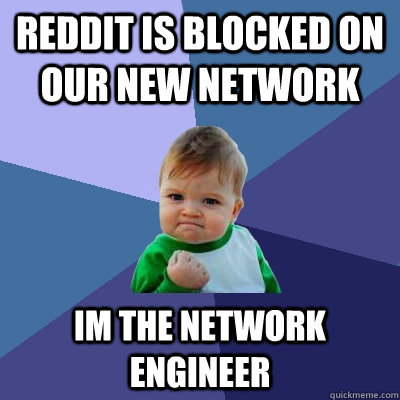 reddit is blocked on our new network im the network engineer  Success Kid