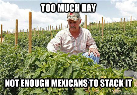 Too much Hay Not enough mexicans to stack it - Too much Hay Not enough mexicans to stack it  First World Farmer Problems