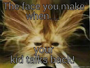 THE FACE YOU MAKE WHEN....  YOUR KID TALKS BACK!  Misc
