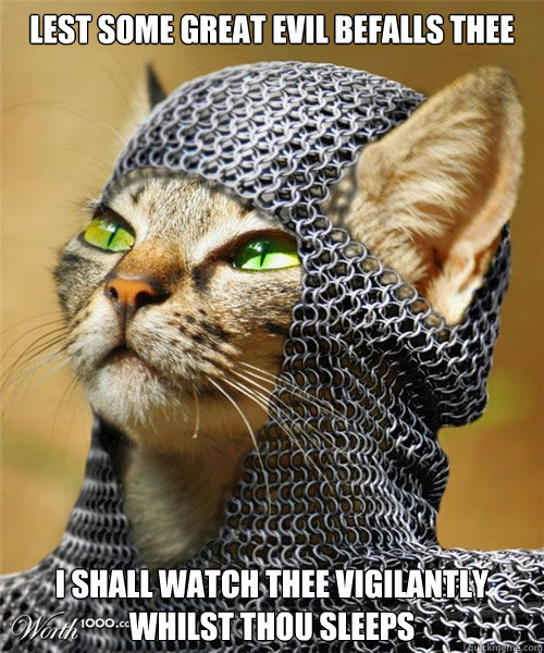 Lest some great evil befalls thee I shall watch thee vigilantly whilst thou sleeps  Sir Whiskers