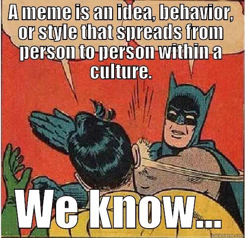 A MEME IS AN IDEA, BEHAVIOR, OR STYLE THAT SPREADS FROM PERSON TO PERSON WITHIN A CULTURE. WE KNOW... Batman Slapping Robin