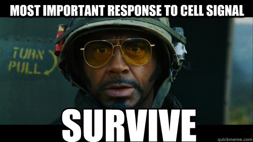 SURVIVE MOST IMPORTANT RESPONSE TO CELL SIGNAL  