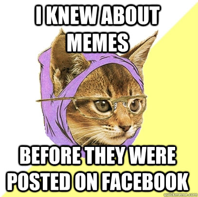 I knew about memes before they were posted on facebook  Hipster Kitty