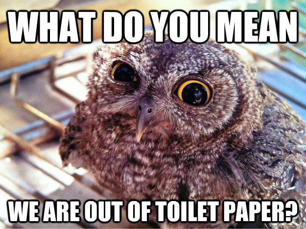 What Do you mean we are out of toilet paper? - What Do you mean we are out of toilet paper?  Irritated Owl