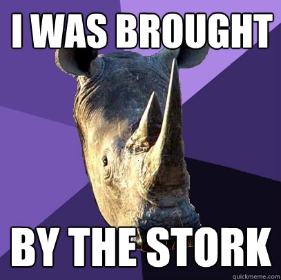 I was brought by the stork  Sexually Oblivious Rhino