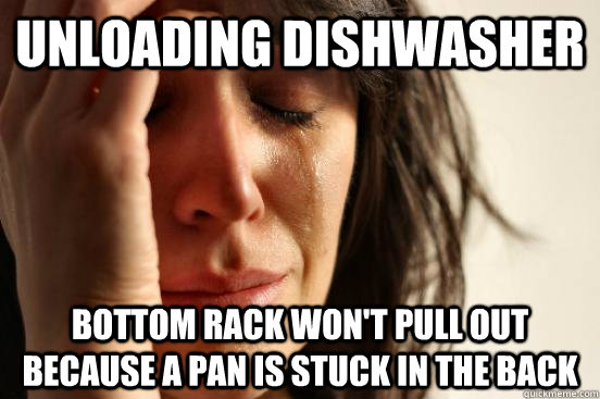 Unloading Dishwasher bottom rack won't pull out because a pan is stuck in the back  First World Problems