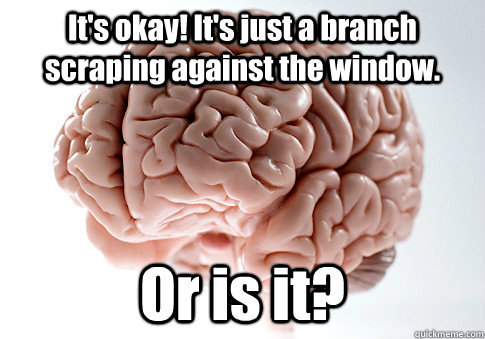 It's okay! It's just a branch scraping against the window. Or is it?  Scumbag Brain