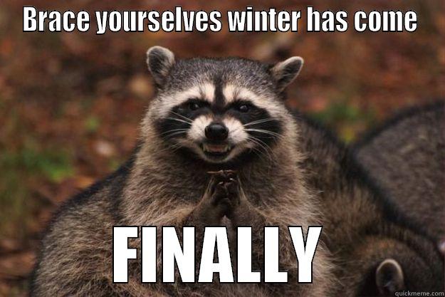 BRACE YOURSELVES WINTER HAS COME FINALLY Evil Plotting Raccoon