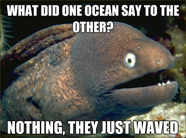 What did one ocean say to the other? nothing, They just waved  Bad Joke Eel