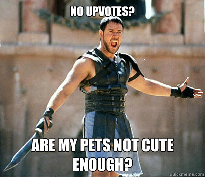 No Upvotes? Are my pets not cute enough? - No Upvotes? Are my pets not cute enough?  Entertained Gladiator