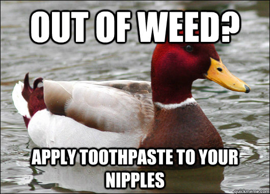 Out of Weed? Apply Toothpaste to your nipples    Malicious Advice Mallard