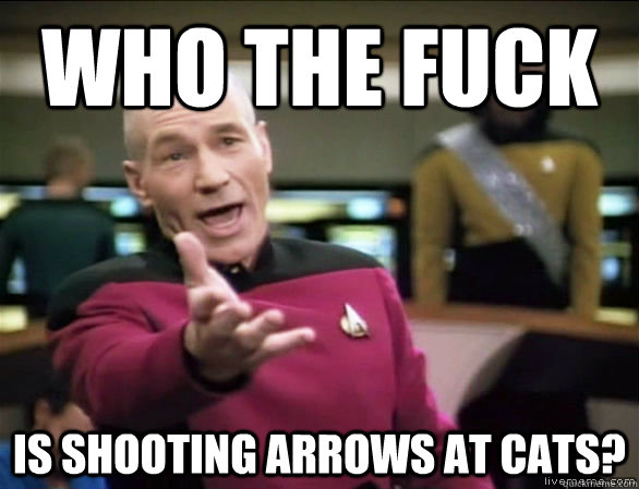 who the fuck is shooting arrows at cats?  Annoyed Picard HD
