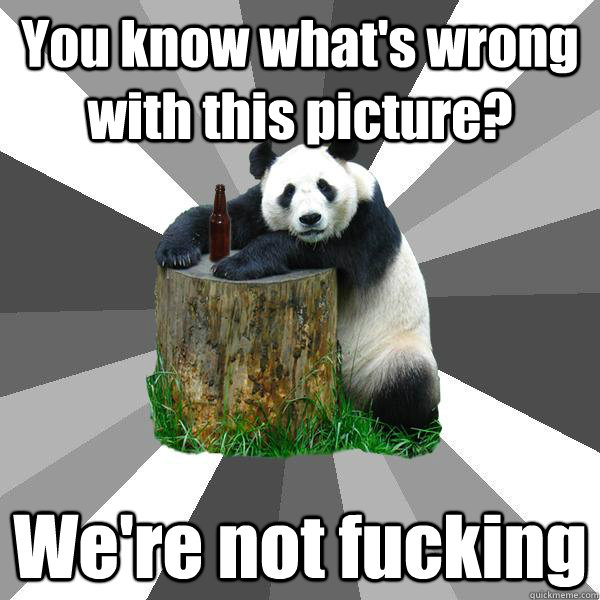 You know what's wrong with this picture? We're not fucking  Pickup-Line Panda