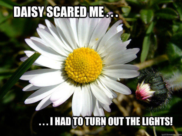 Daisy Scared me . . . . . . I had to turn out the lights! - Daisy Scared me . . . . . . I had to turn out the lights!  DaisyScare