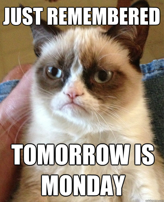 Just remembered Tomorrow is Monday - Just remembered Tomorrow is Monday  cat had fun once