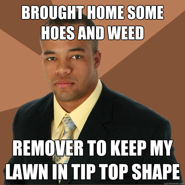BROUGHT HOME SOME HOES AND WEED REMOVER TO KEEP MY LAWN IN TIP TOP SHAPE  