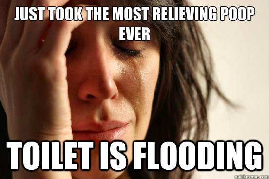 just took the most relieving poop ever toilet is flooding  First World Problems